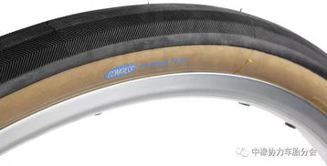 次世代轮胎 公路车真空胎大全