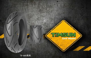 高抓地 耐磨有效结合,腾森 壁虎 系列轮胎发布