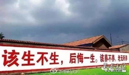 别笑 三胎开放了 回村看到这些计生标语再也不害怕了