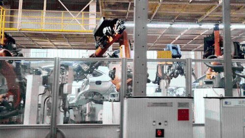 三胎家庭买考斯特去了 一胎二胎的先来台欧拉白猫过渡一下