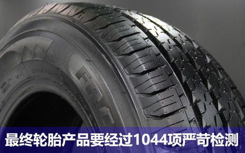 这家轮胎企业 山东政府将重点培育