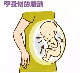 如何通过胎动猜透胎宝宝的小心思 月安馨小课堂