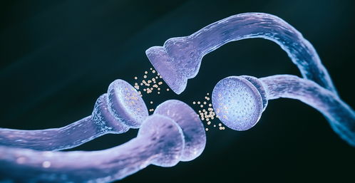 干细胞,为治疗渐冻症提供了新途径